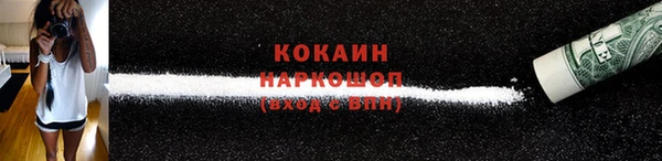 мет Инта
