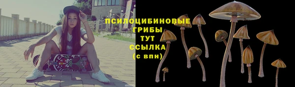 мет Инта