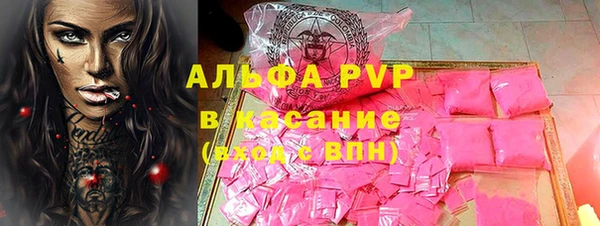 прущие грибы Каменка