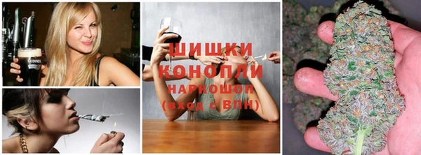 мет Инта