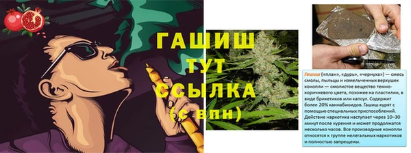мет Инта