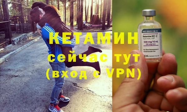 прущие грибы Каменка