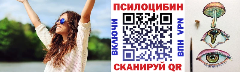 Купить где  Москва  Галлюциногенные грибы GOLDEN TEACHER 